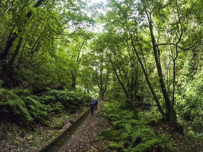 Avaliações doMadeira Mountain Tours em Funchal - Agência de viagens