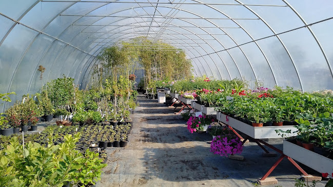 Szombathely Kőszeg felé vezető 87. sz. főút, 9700