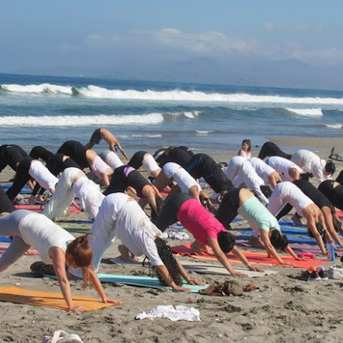 Escuela de Yoga Atmashala, estudia para ser un profesor certificado en Yoga. Clases online y presenciales. 15 Años formando profesores en Hatha Yoga. - La Serena