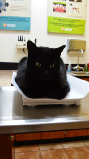 Pet Supply Store «PetSmart», reviews and photos, 33963 Doheny Park Rd, San Juan Capistrano, CA 92675, USA