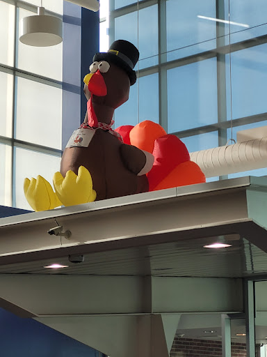 Recreation Center «Jack E. Kirksey Livonia Community Recreation Center», reviews and photos, 15100 Hubbard, Livonia, MI 48154, USA