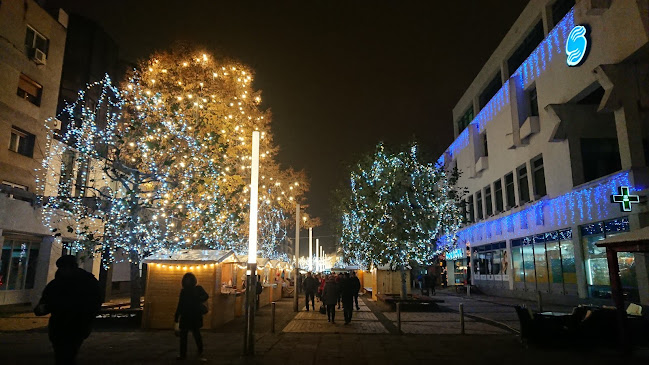 Comentarii opinii despre Christmas Market Satu Mare