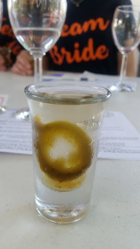 Vineyard «Dry Comal Creek Winery & Vineyards», reviews and photos, 1741 Herbelin Rd, New Braunfels, TX 78132, USA