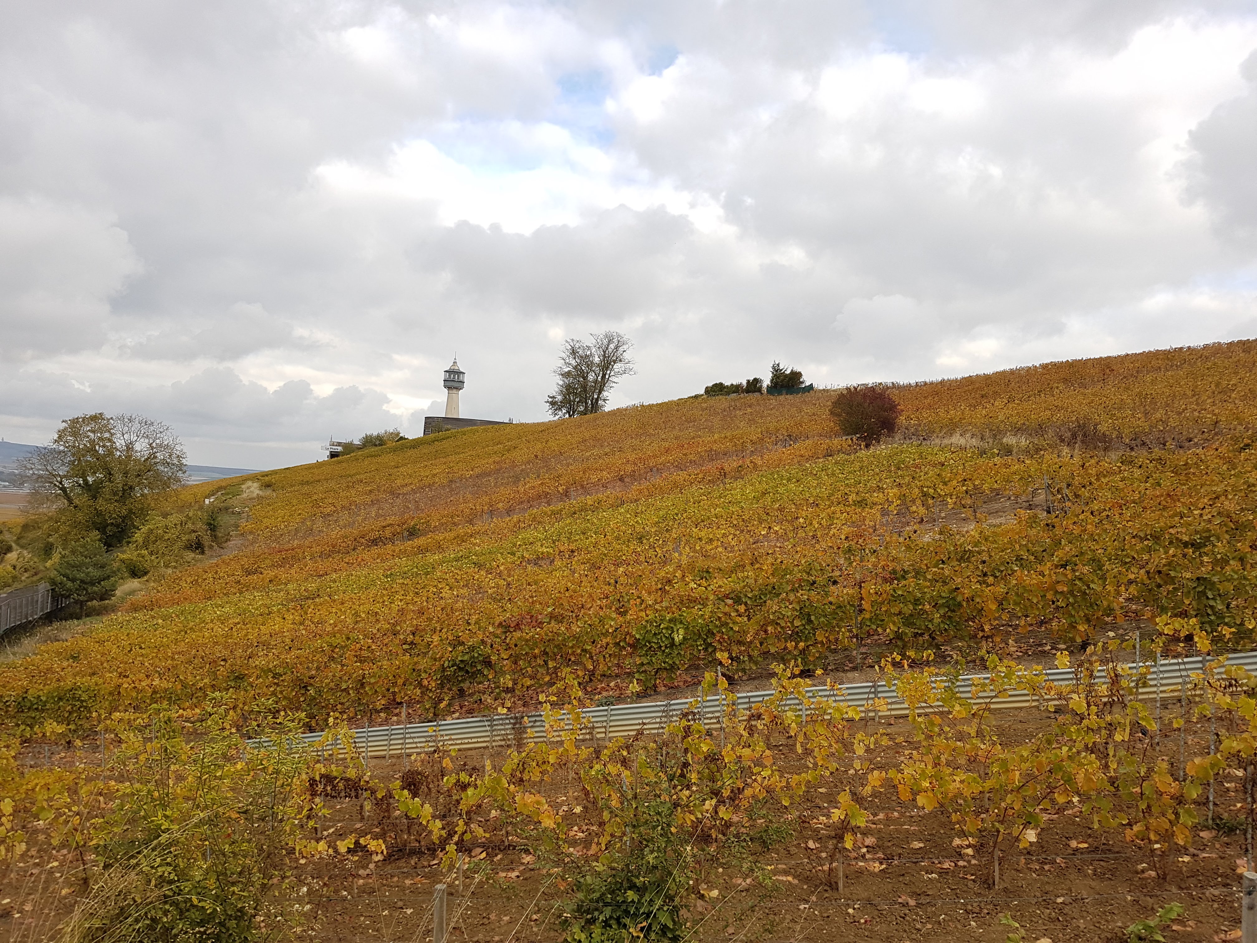 Photo n° 2 de l'avis de Chris.o fait le 27/10/2018 à 19:35