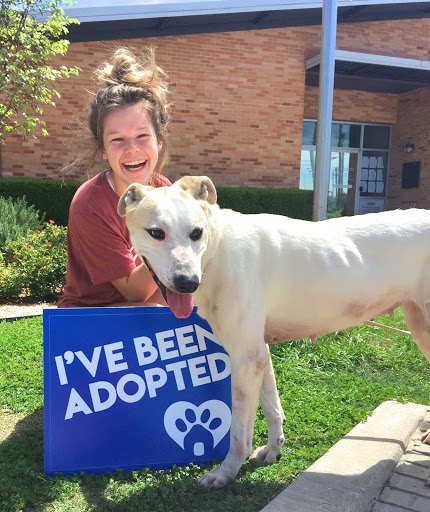 Pet adoption service Waco