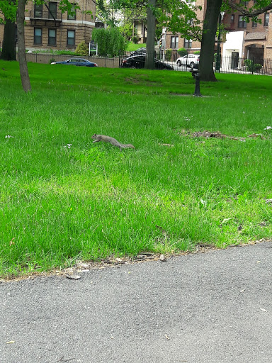 Park «Weequahic Park», reviews and photos, Elizabeth Ave & Meeker Ave, Newark, NJ 07112, USA