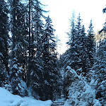 Photo n°11 de l'avis de Enrico.o fait le 07/01/2024 à 00:24 sur le  Stumpf Alm à Gsies