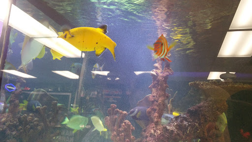 Tropical Fish Store «Premier Aquatics», reviews and photos, 1801 Roswell Rd, Marietta, GA 30062, USA