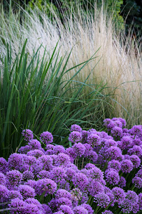 Cherish Me Photography - West Jordan - Photo 6 - Car repair in West Jordan, UT, West Valley City