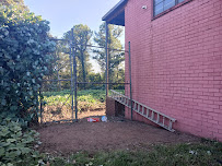 Overgrown Backyards Kudzu Removal. Full-Service Lawn Care. - Photo 9 - Car repair in Norcross, GA, Sandy Springs