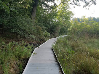 Jackson Bog State Nature Preserve