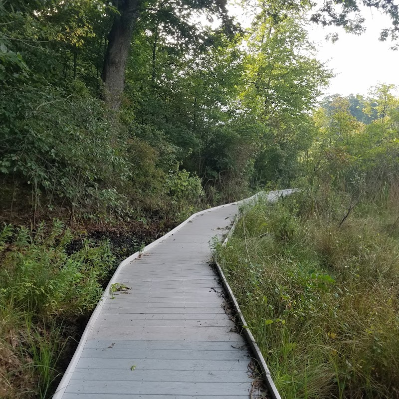 Jackson Bog State Nature Preserve