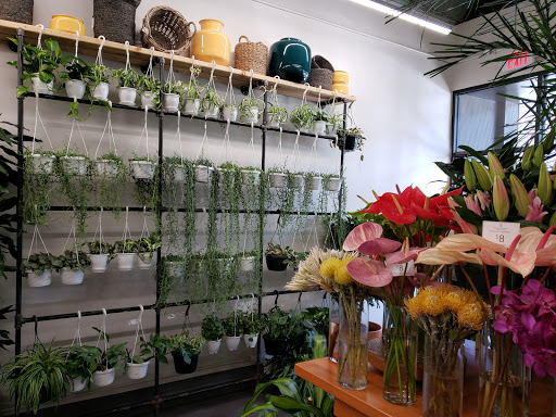 Florist «Englewood Florist, Inc.», reviews and photos, 47 E Palisade Ave, Englewood, NJ 07631, USA