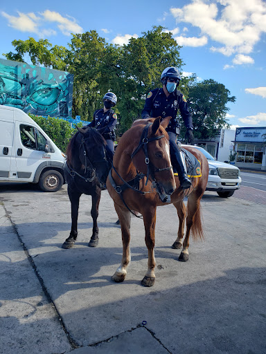 Auto Repair Shop «Champion Auto Clinic», reviews and photos, 1643 SW 8th St, Miami, FL 33135, USA