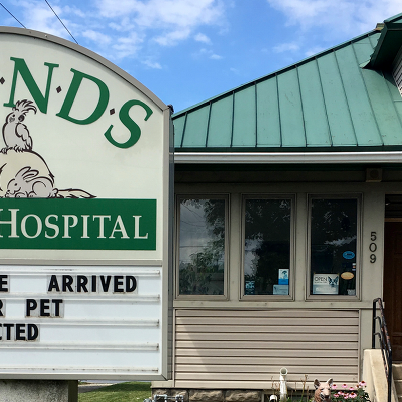 Friends Animal Hospital, LLC