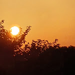 Photo n°6 de l'avis de mg.u fait le 24/07/2020 à 12:52 sur le  Hotel Signum à Malfa Salina