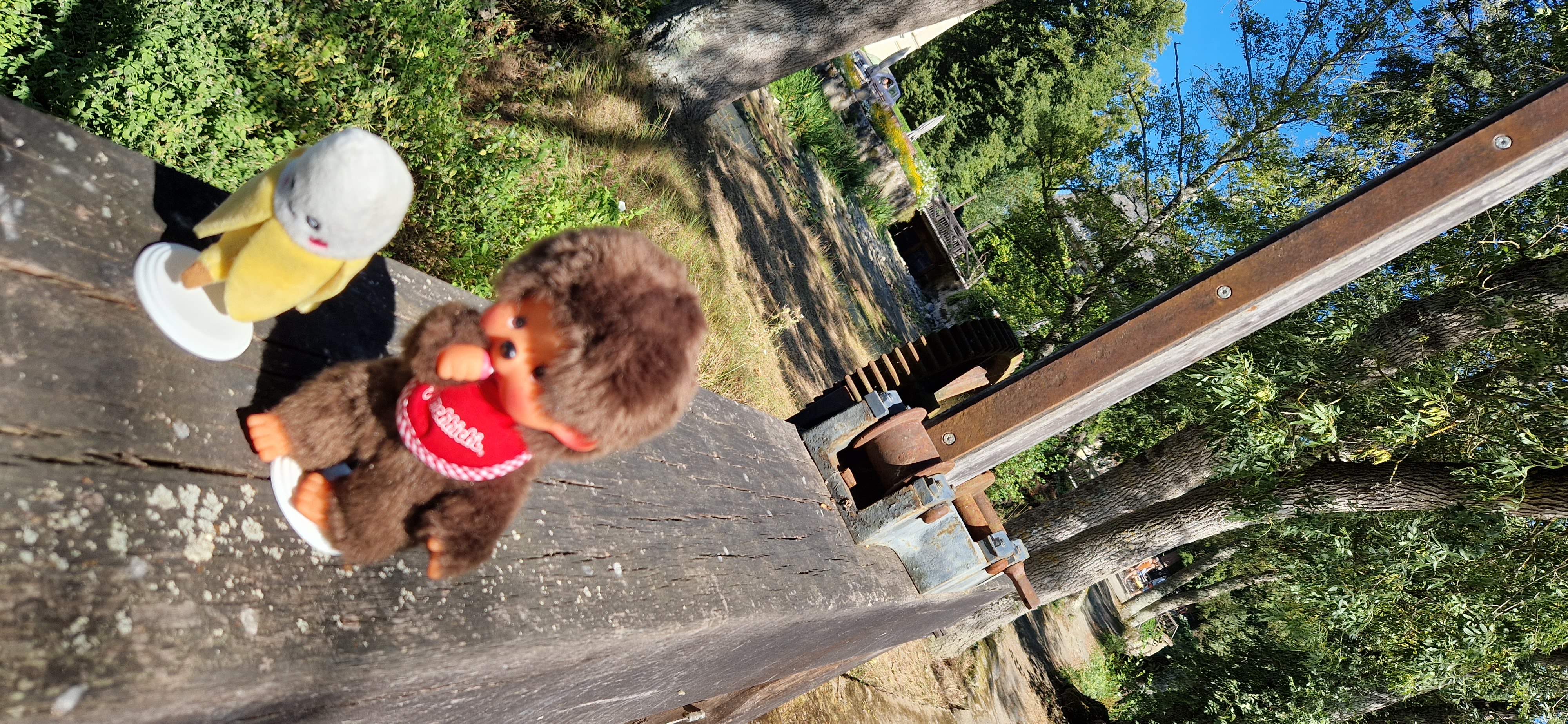 Photo n° 3 de l'avis de Girolami.o fait le 07/08/2022 à 11:51