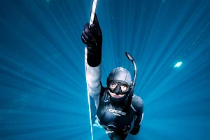 Drifters Freediving image