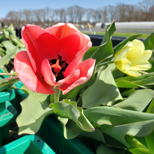 Farm «Four Town Farm», reviews and photos, 90 George St, Seekonk, MA 02771, USA