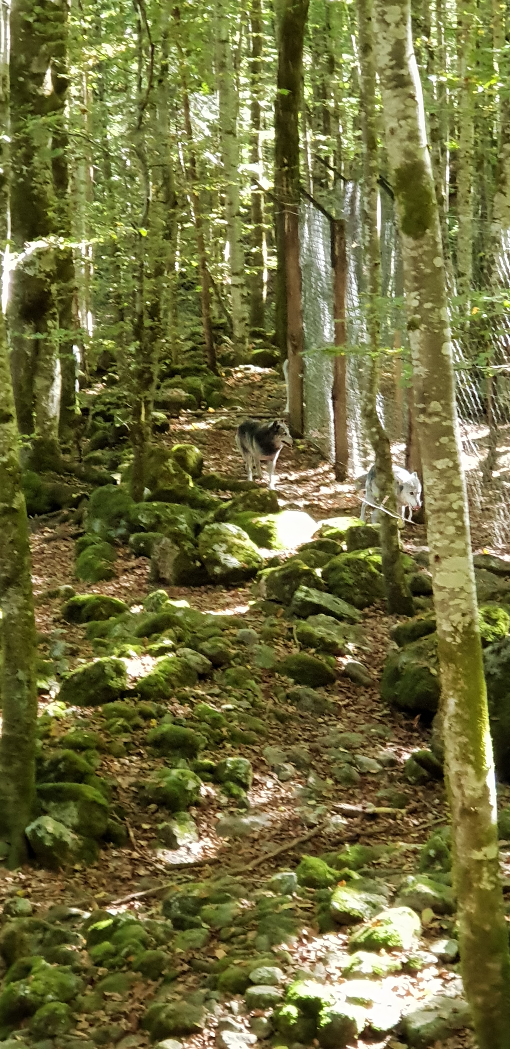 Photo n° 12 de l'avis de Christophe.e fait le 26/09/2018 à 10:29