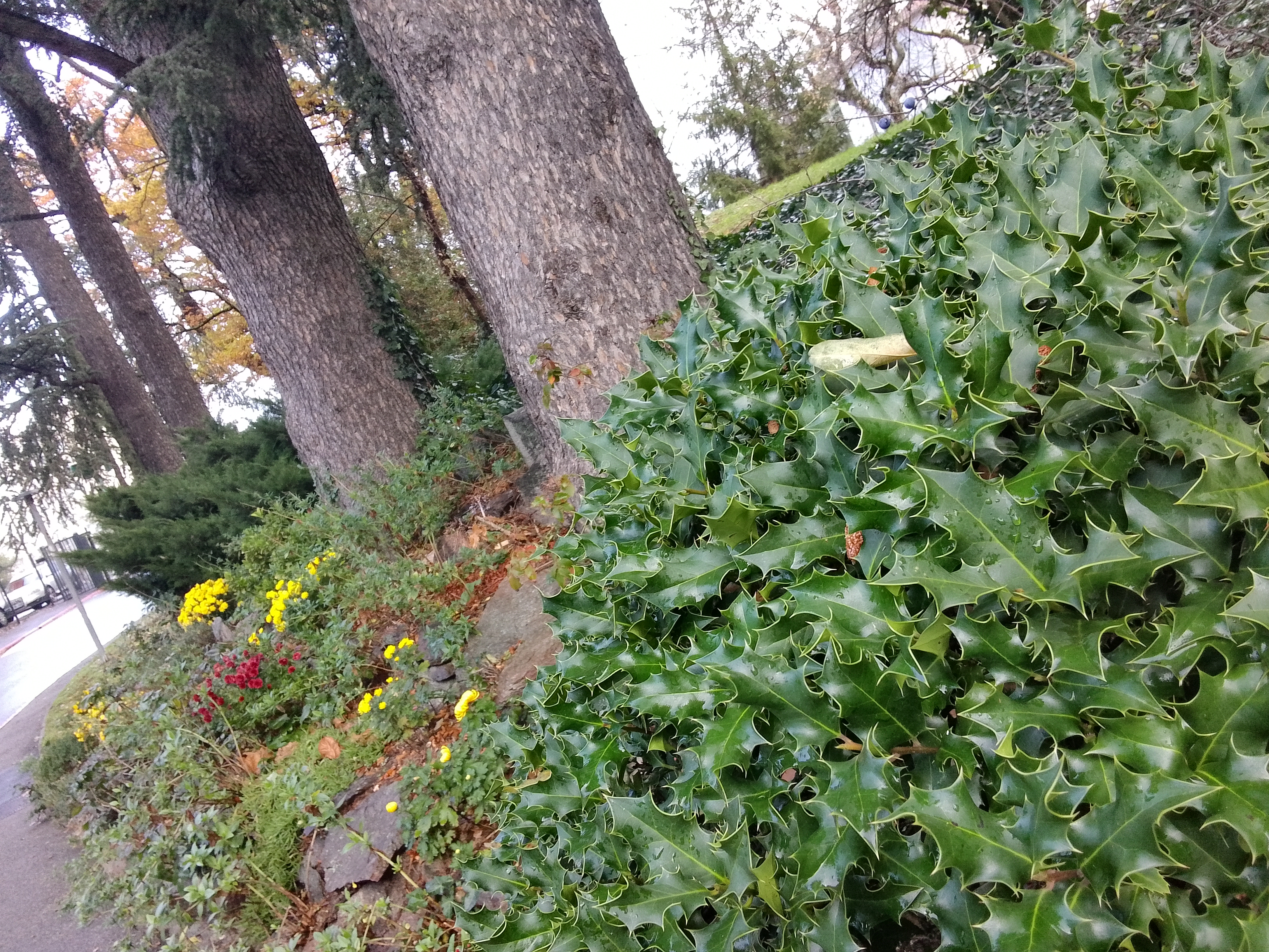 Photo n° 18 de l'avis de Lyson.m fait le 28/11/2023 à 11:34