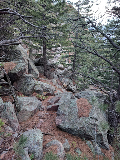 Golf Club «Omni Interlocken Golf Club», reviews and photos, 800 Eldorado Blvd, Broomfield, CO 80021, USA