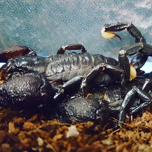 Pet Supply Store «Petco Animal Supplies», reviews and photos, 280 Kensington Blvd, Slidell, LA 70458, USA