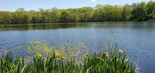 Park «Reverend Arthur Mackey Park», reviews and photos, 242 Elmwood Ave, Roosevelt, NY 11575, USA