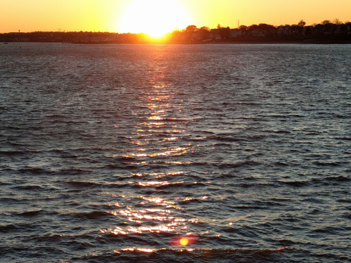 Garden «Lynch Park Rose Garden», reviews and photos, Lynch Park, Beverly, MA 01915, USA