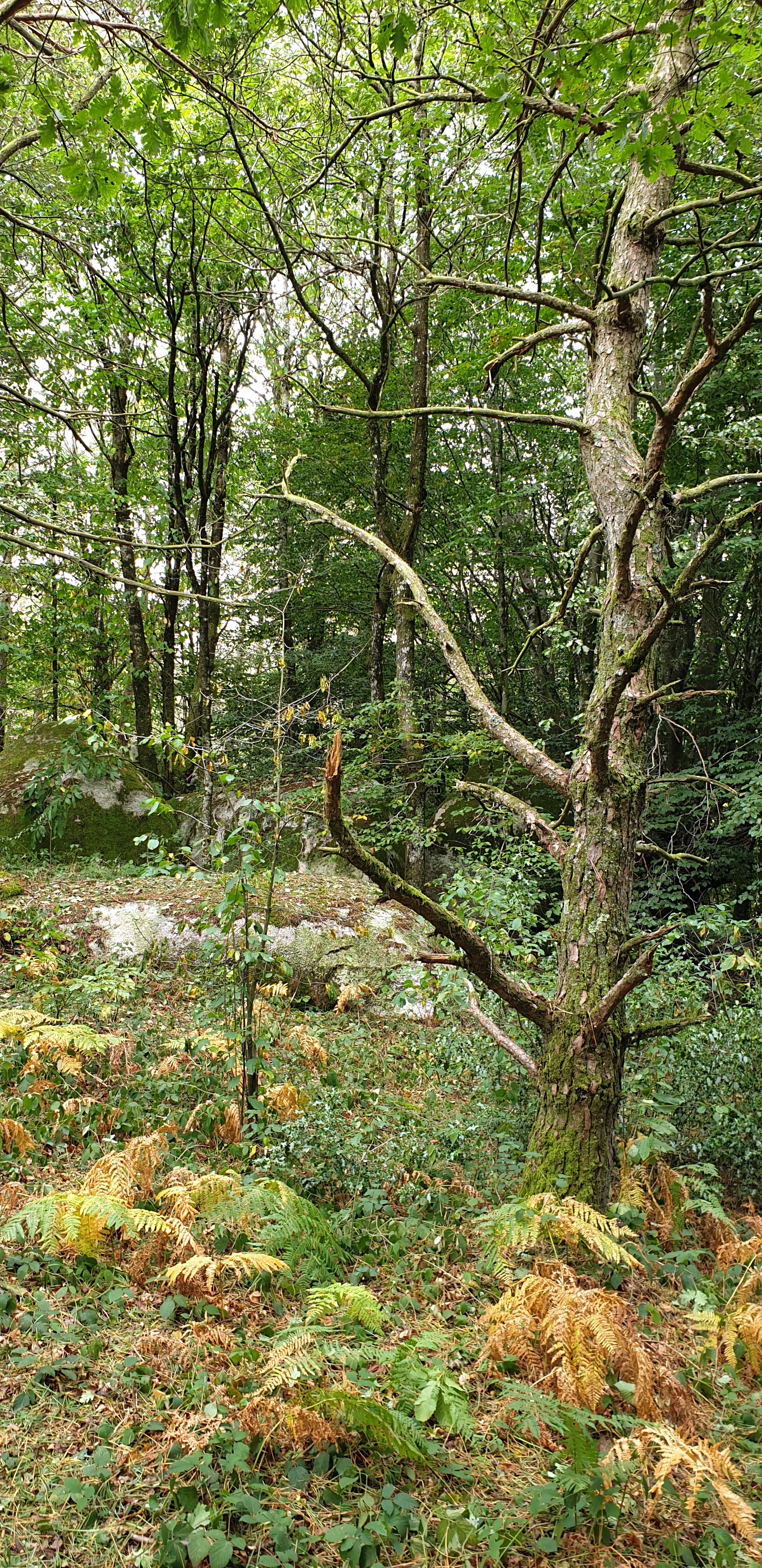 Photo n° 5 de l'avis de Sébastien.e fait le 15/08/2020 à 11:37