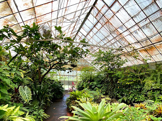 Tropical Glasshouse