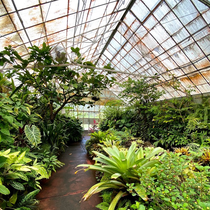 Tropical Glasshouse