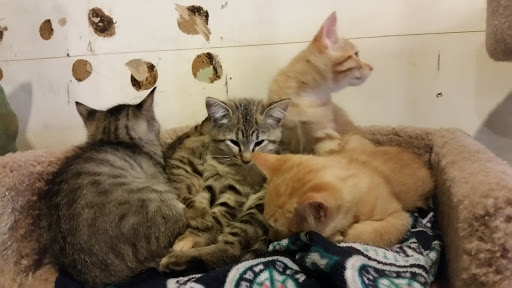 Pet Store «Next to Nature», reviews and photos, 4543 California Ave SW, Seattle, WA 98116, USA