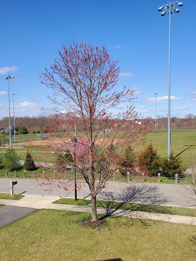 Park «Gough Park», reviews and photos, 9300 Honeygo Blvd, Perry Hall, MD 21128, USA