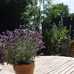 Photo n°1 de l'avis de Sandra.� fait le 06/07/2020 à 14:52 sur le  Garten-Café à Mönchgut