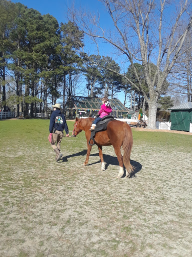 Pony ride service Norfolk