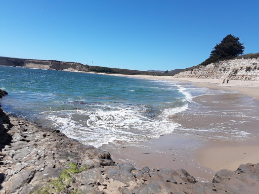 Public Beach «Four Mile Beach», reviews and photos, 3810 Coast Rd, Santa Cruz, CA 95060, USA