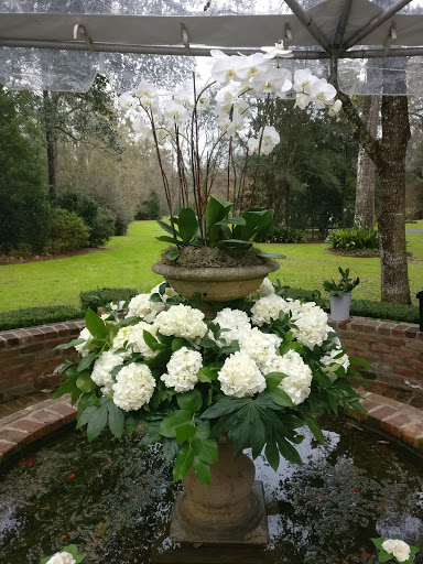 Florist «Florist Of Covington», reviews and photos, 2640 N Hwy 190, Covington, LA 70433, USA