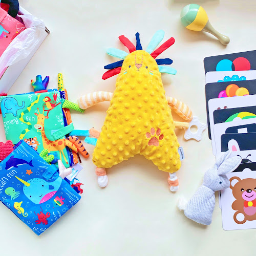 Blissbies SG - Newborn baby gifts & baby hampers (Office only) - Shop