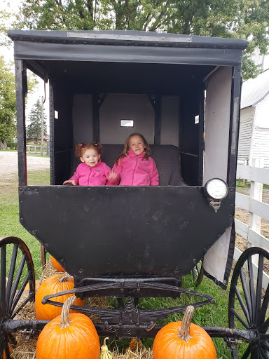 Pumpkin Patch «Barts Farm and Pumpkin Patch», reviews and photos, 7307 Alburnett Rd, Marion, IA 52302, USA