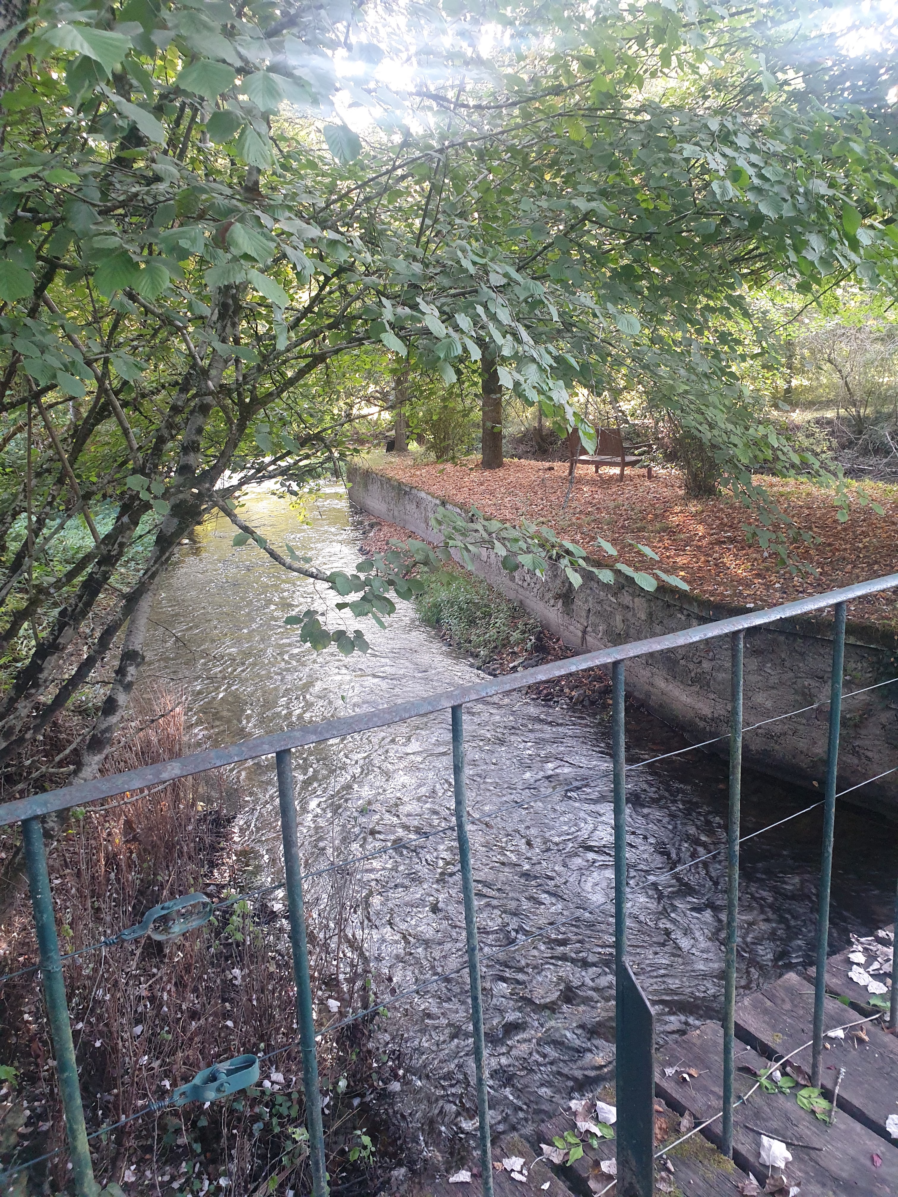 Photo n° 3 de l'avis de Nathalie.i fait le 11/09/2020 à 19:23