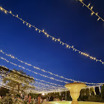 Photo n°1 de l'avis de Alessandro.i fait le 08/09/2022 à 14:09 sur le  Hotel Villa Castellani à Mogliano