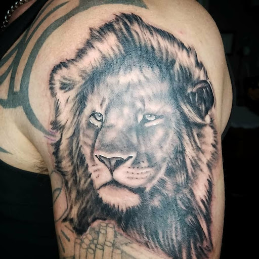 Explore aristocats tattoo ideas, creative tattoo ideas in Worcester, available at Piercing Emporium & Tattoo