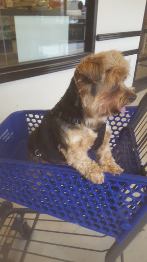 Pet Supply Store «PetSmart», reviews and photos, 475 Bank St, Waterbury, CT 06708, USA