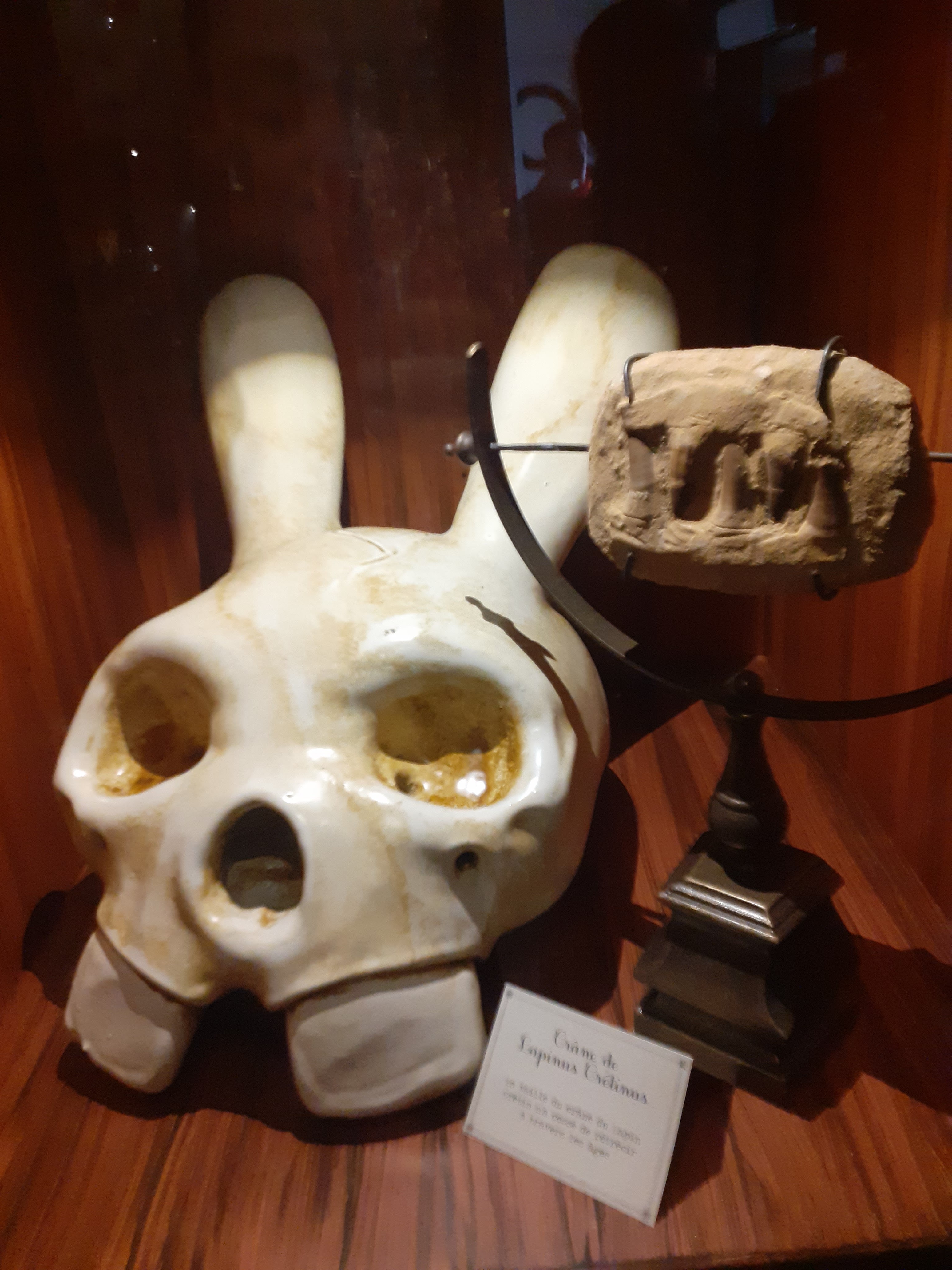 Photo n° 1 de l'avis de Vanessa. fait le 29/12/2019 à 12:53