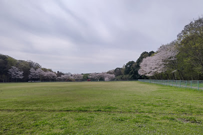 女坂スポーツ広場野球場