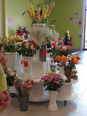 Jolie Rose à Varennes-sur-Allier