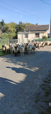 EMTCM à Saint-Valery-sur-Somme