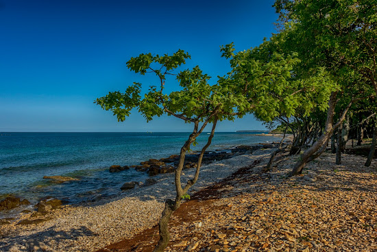 Hawaii beach