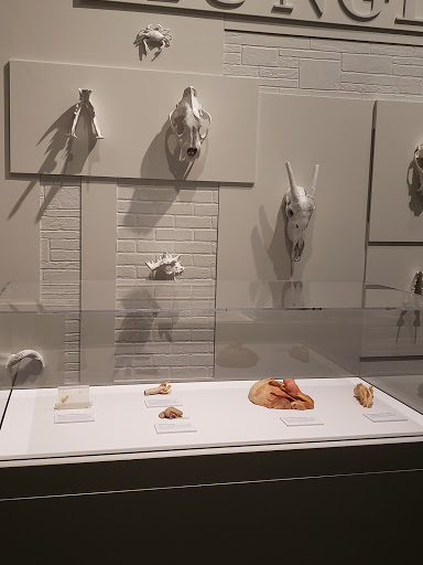 Science Museum «Connecticut Science Center», reviews and photos, 250 Columbus Blvd, Hartford, CT 06103, USA